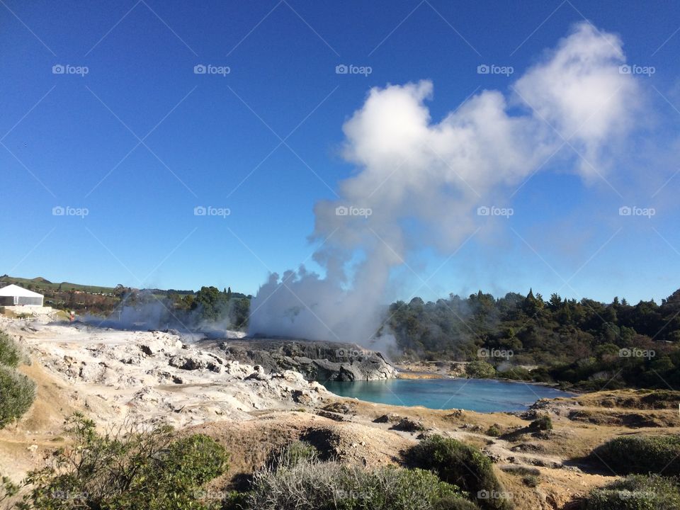 Thermal springs In Whakarewarewa, Rotorua, New Zealand
