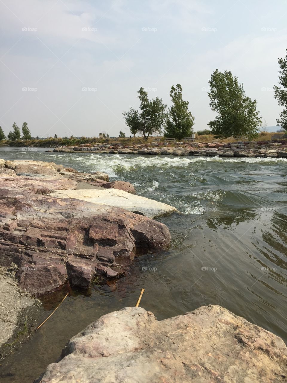 On the River Bank. Along the bank of the North Platte River