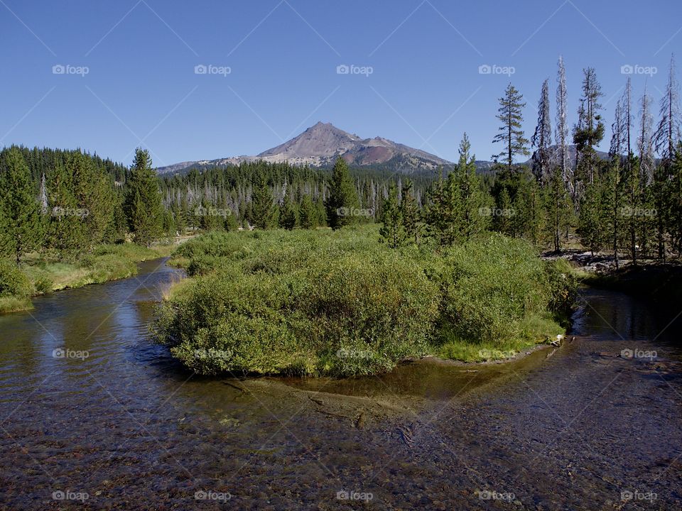 A beautiful fall landscape of Soda Creek and the South Sister in the Deschutes National Forest with towering trees and clear blue skies on a sunny autumn day. 