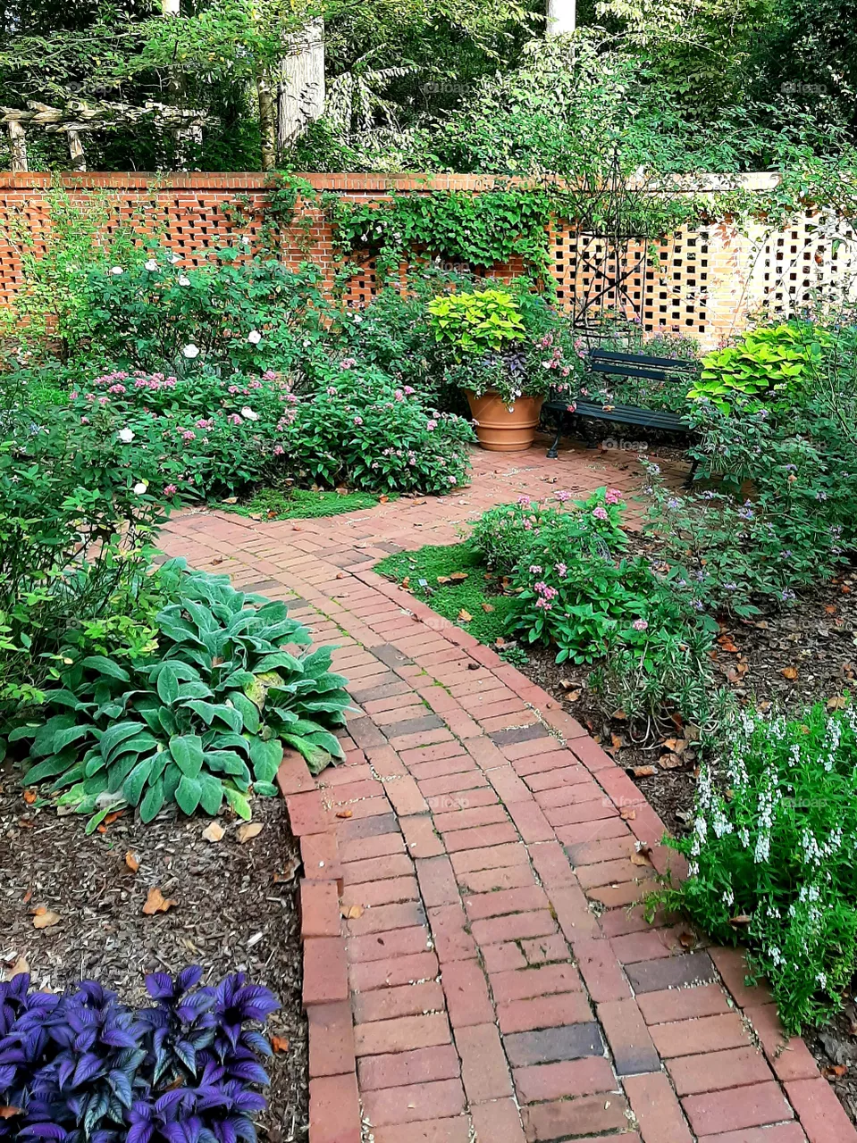 "Wing Haven"-garden