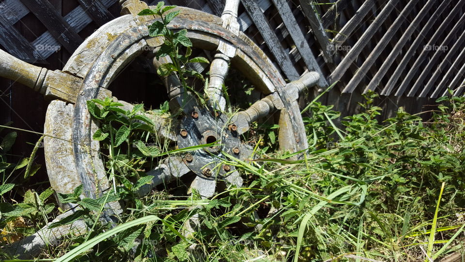 ship wheel. old ship wheel 