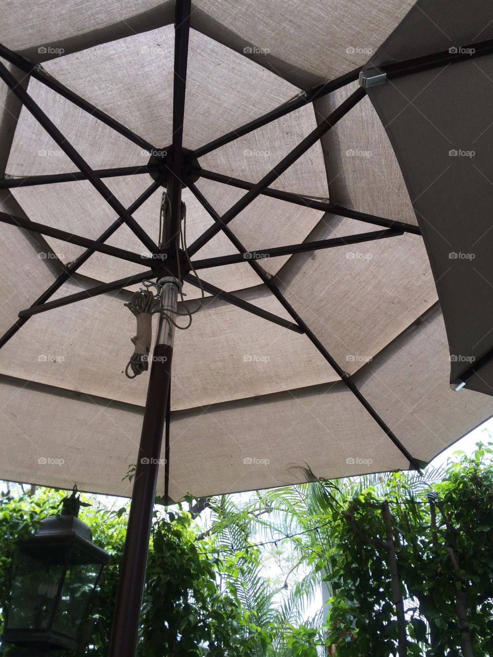 Big umbrella