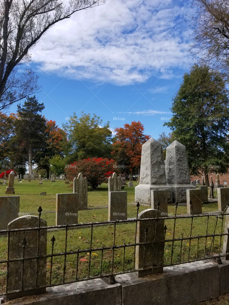 Color Among The Graves