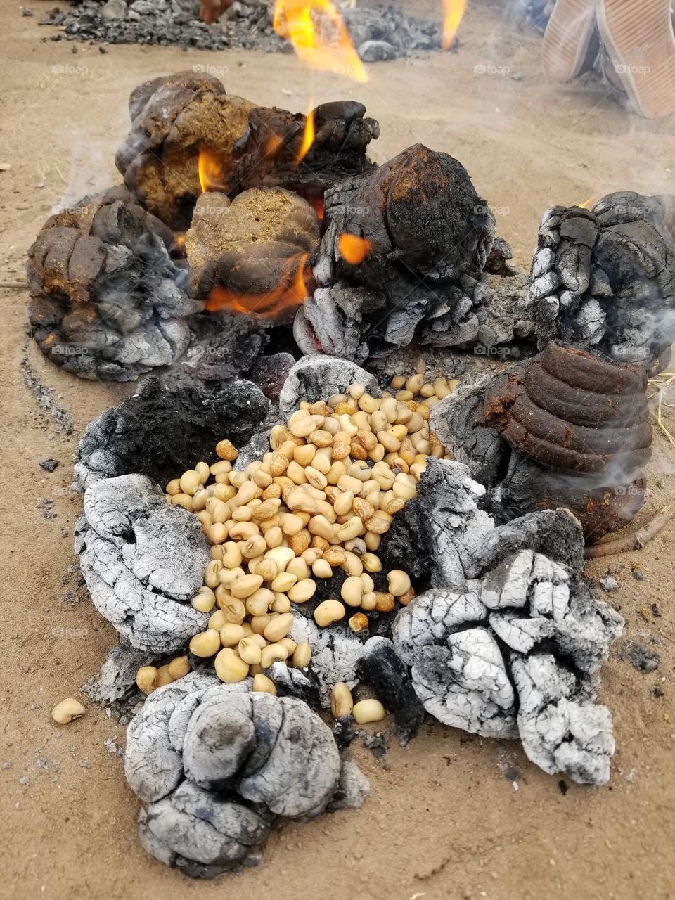 Roasting beans with cattle dugs. Let the them burns completely and then pour the beans and stir with a stick until the beans get a bit burnt (change color) meaning they are ready to eat. Beans tasted like potatoes 