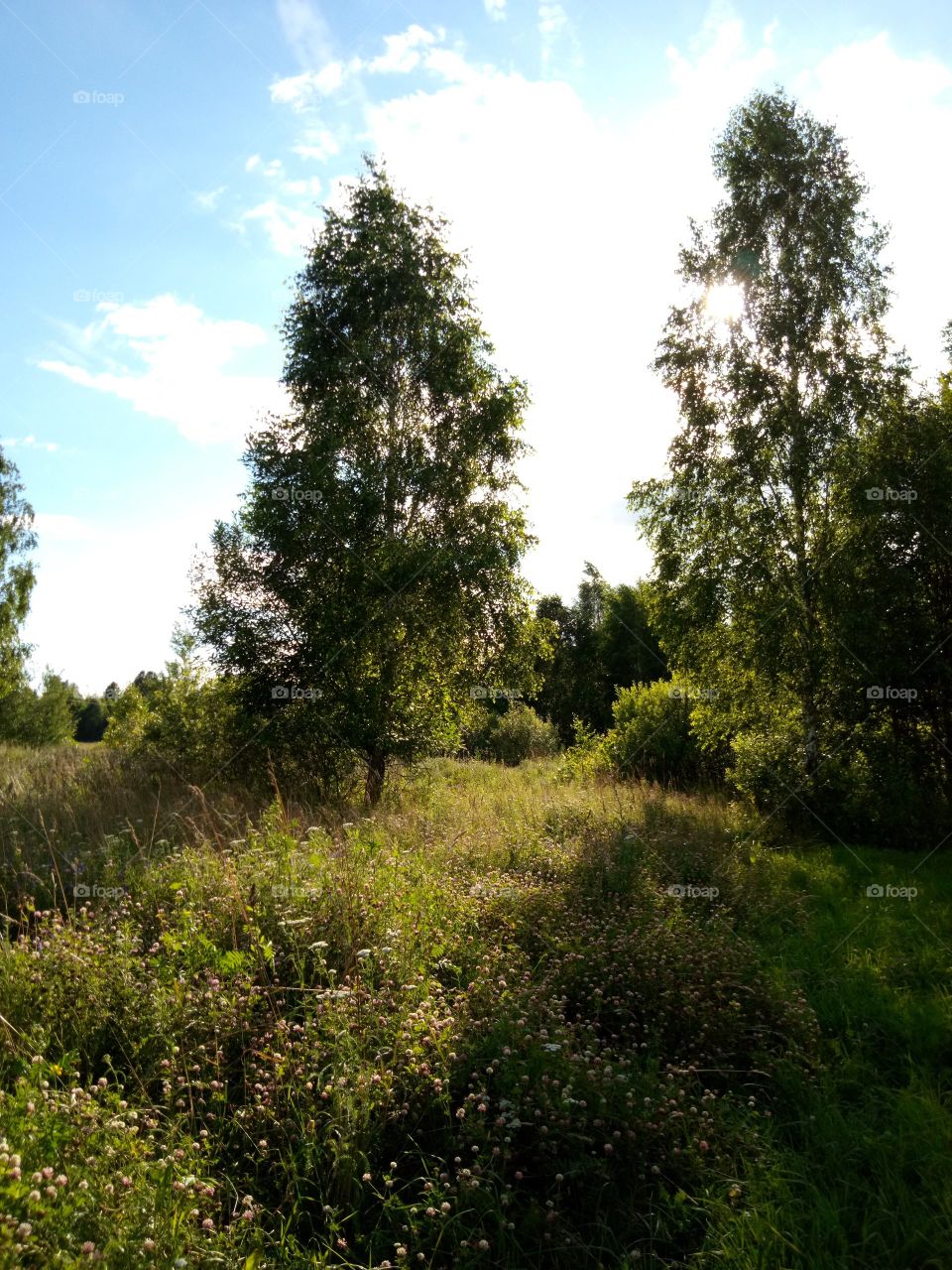 природа России