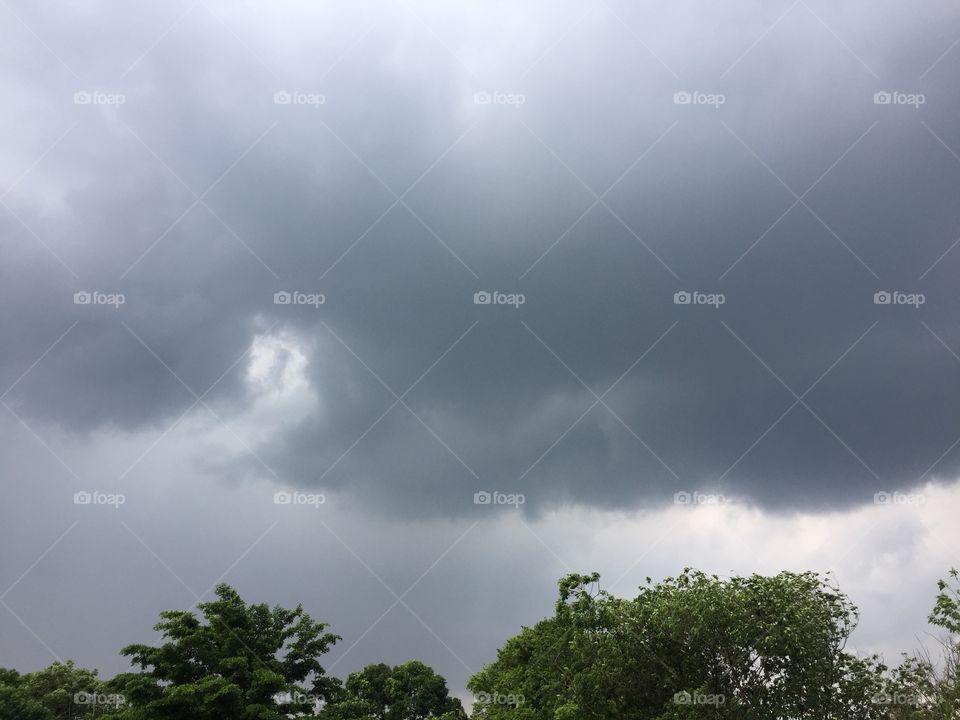 Sky, Nature, Landscape, Tree, No Person