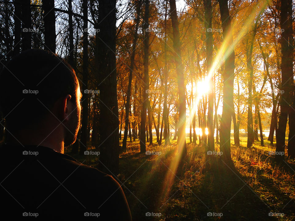 Silhouette of a young man watching the autumn sunset at the forest with golden leaves 