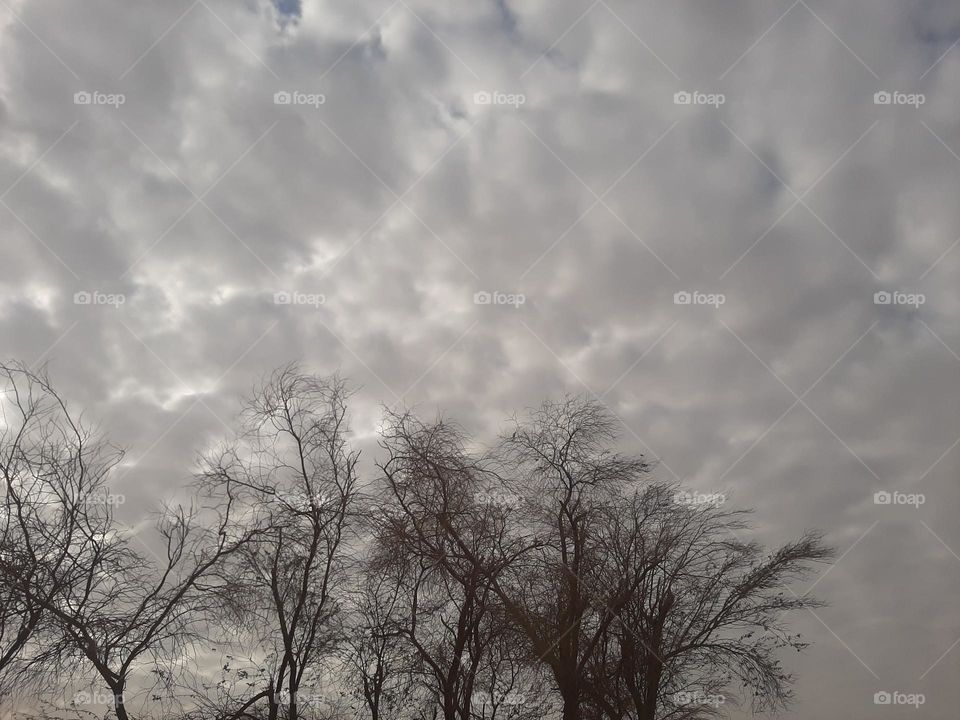 Please make me happy, I am poor, I need your help with support