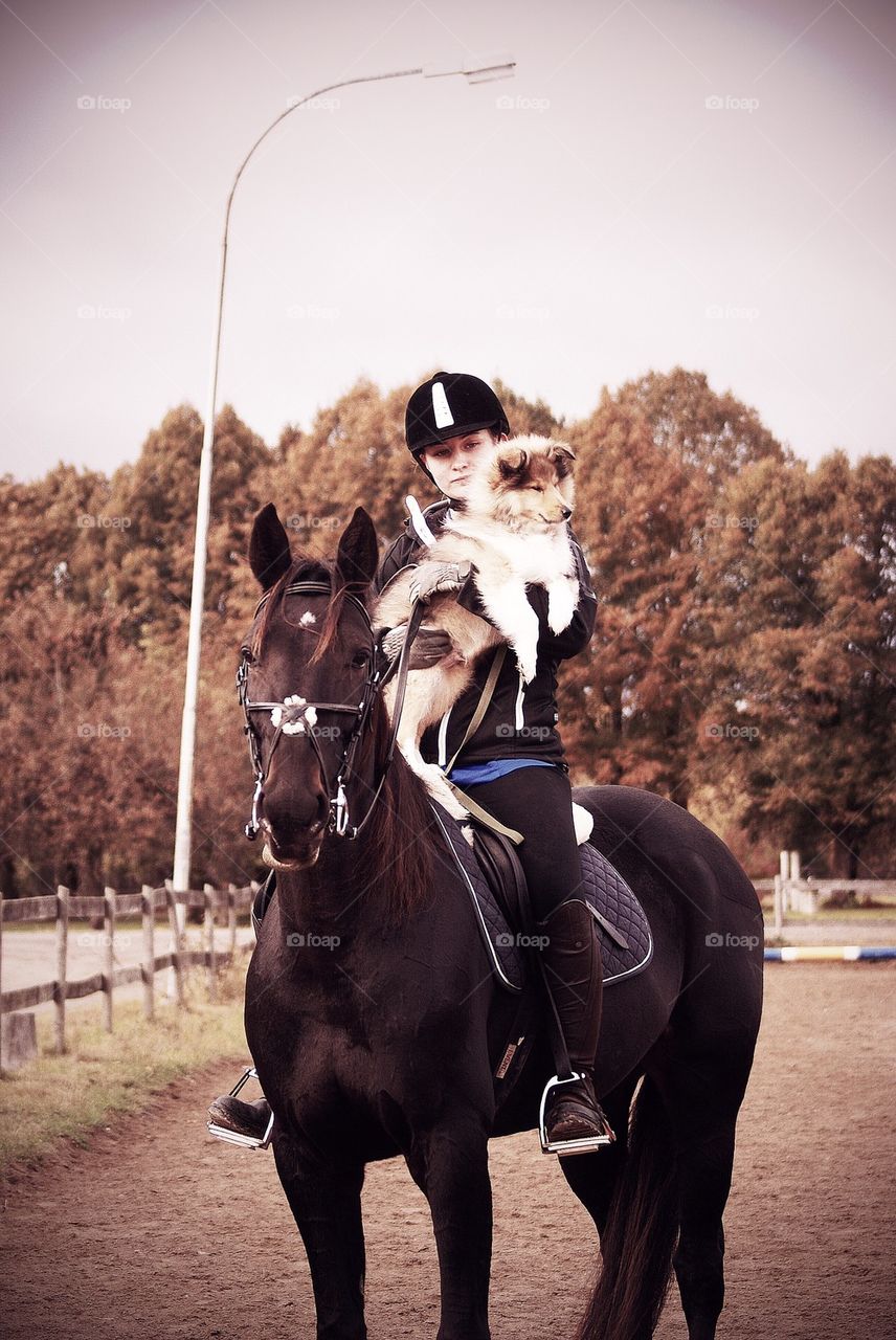 Horse, girl and a dog