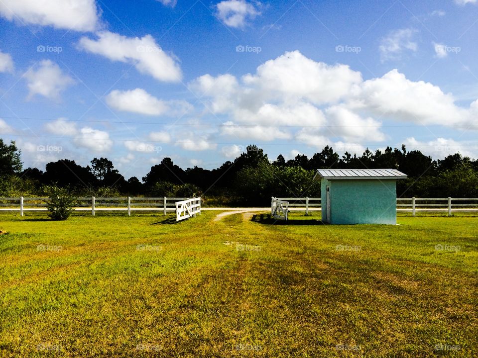 Country Driveway