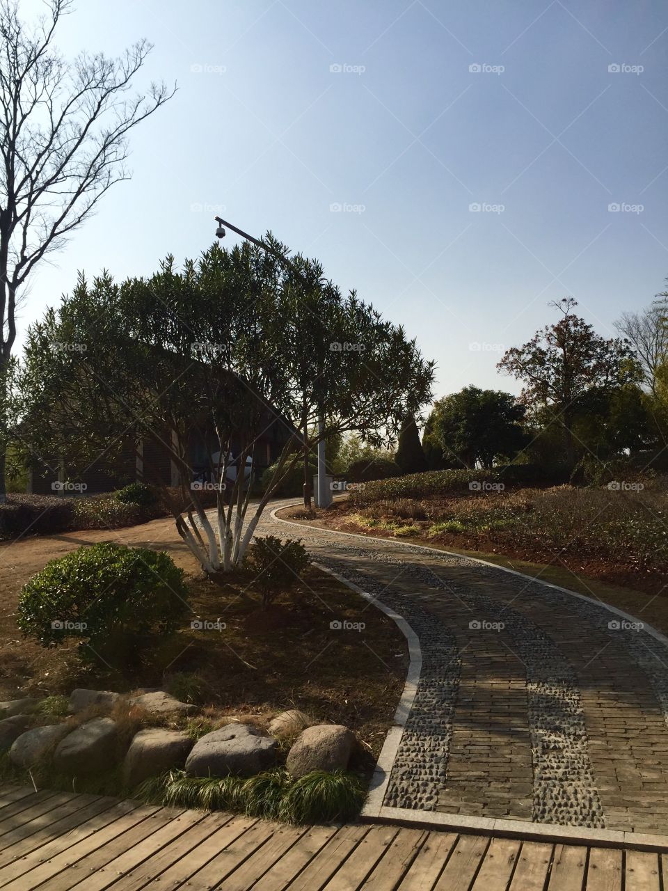 A walkway in the park 