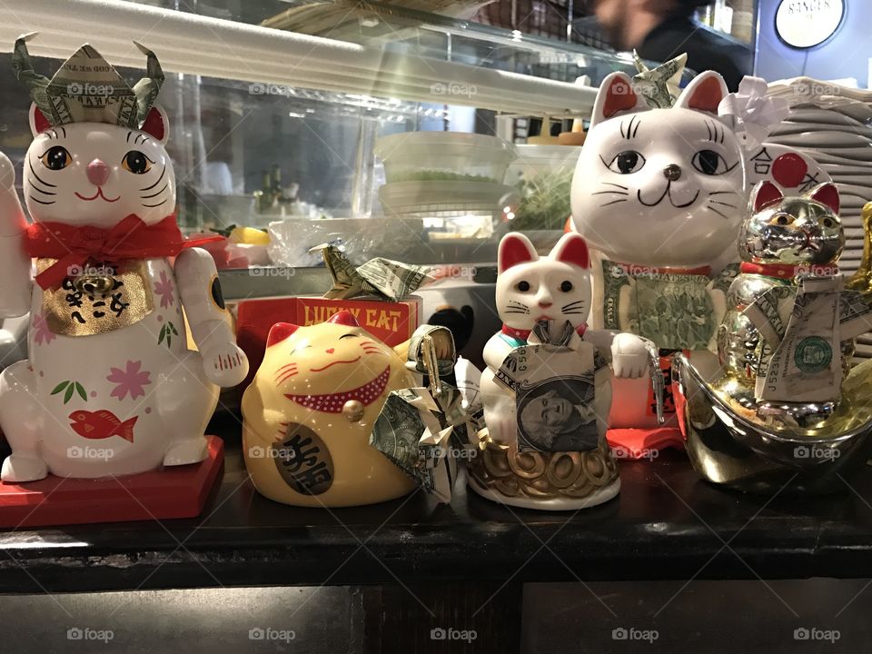 Lucky cats 