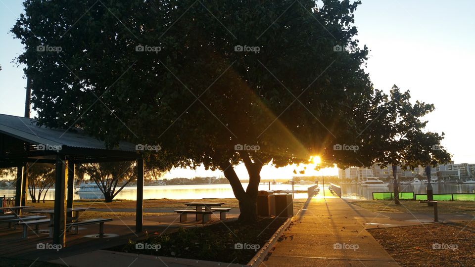 Walkway to Pier as Early Bird Catches the Worm