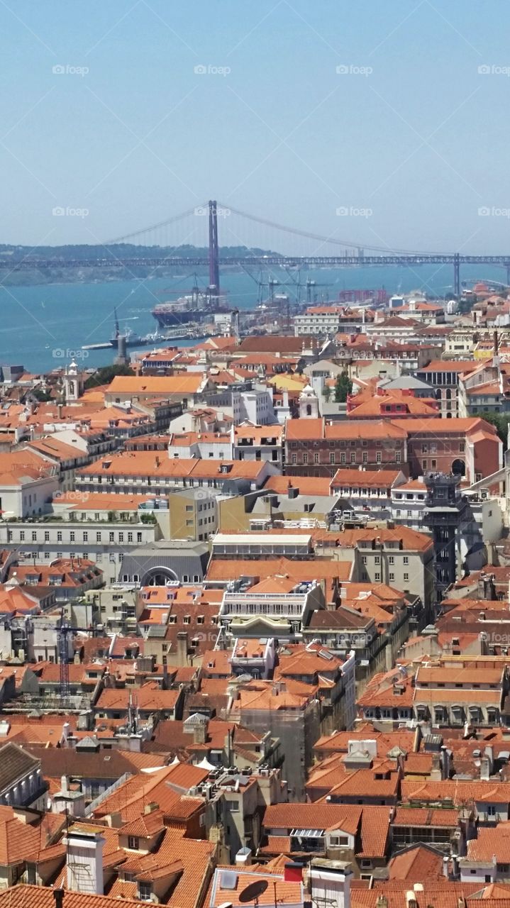 Lisbon's roofs