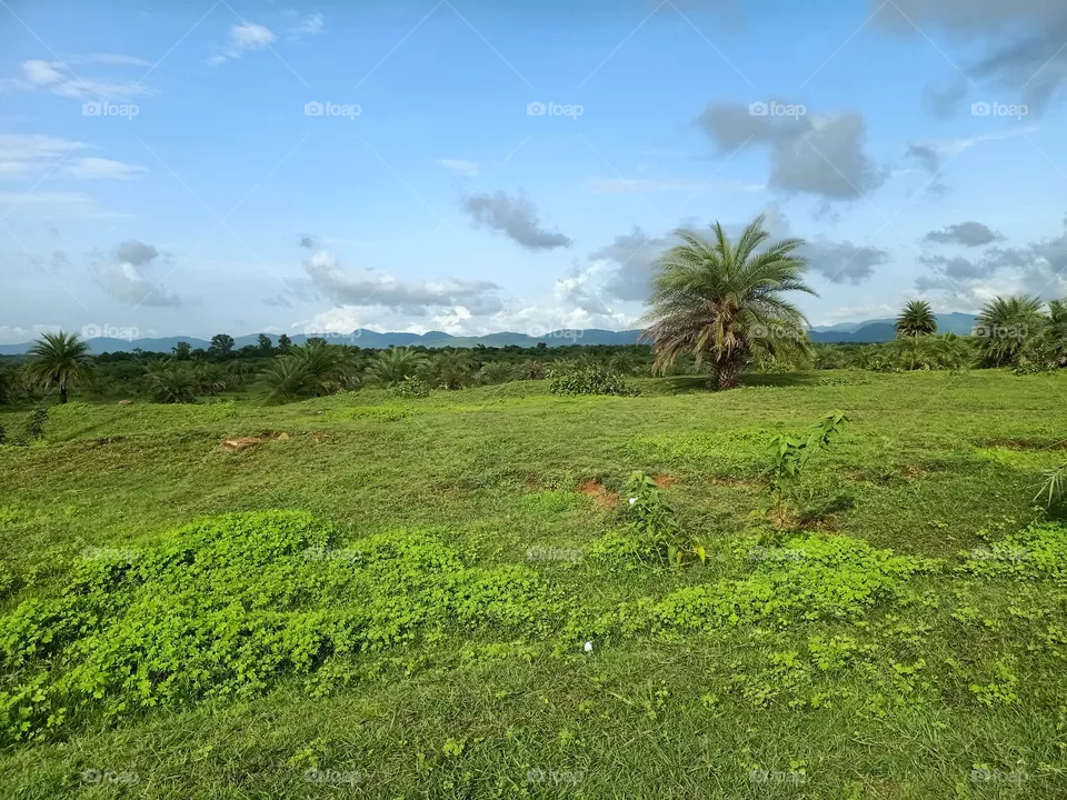 Nature