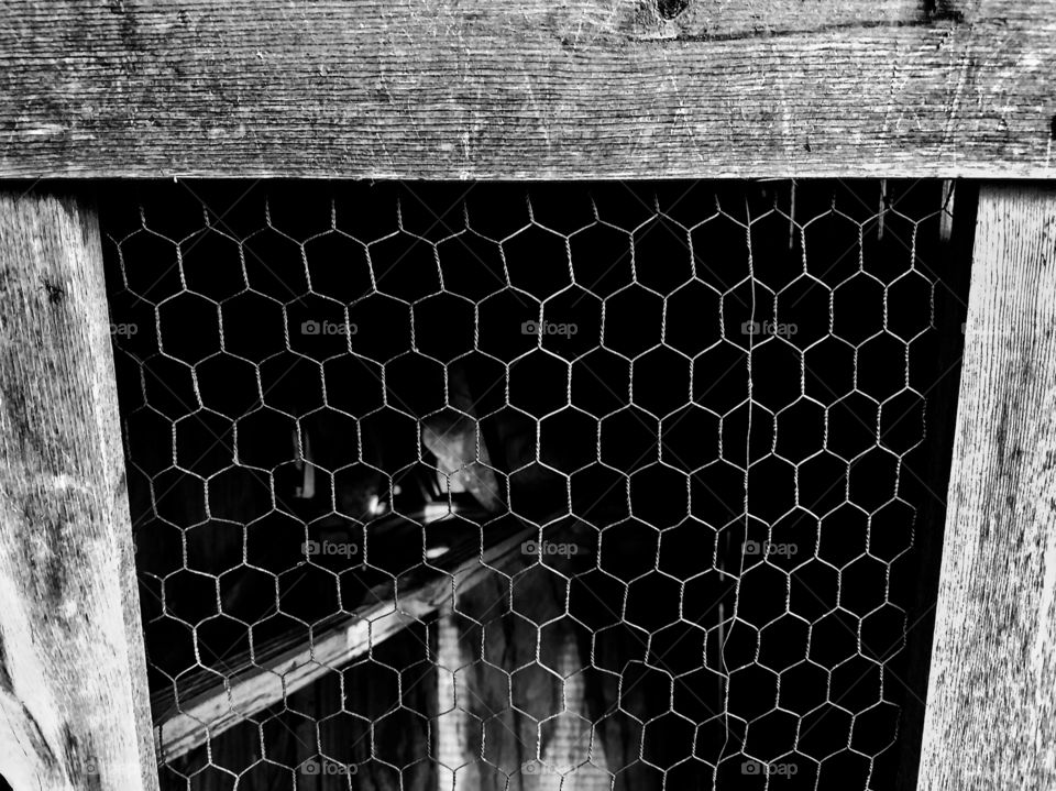 Empty chicken coop in black and white