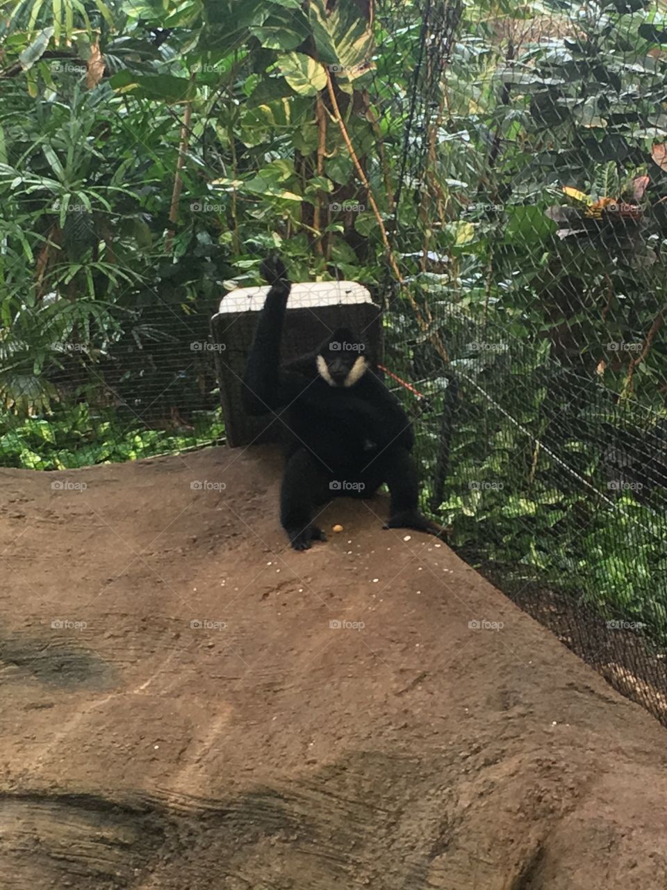 Pittsburgh Zoo 