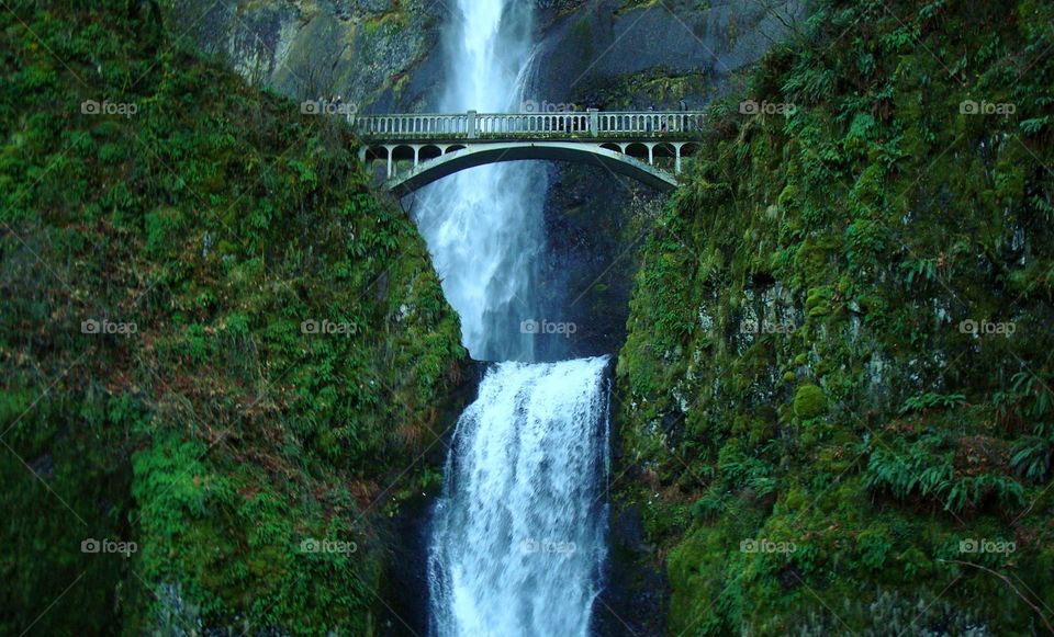 Multnomah falls