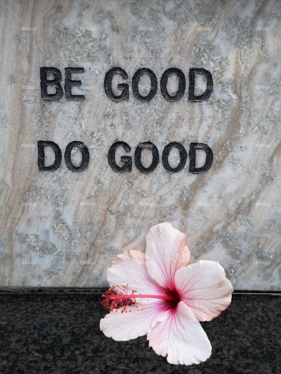Mantra or quote: Be good. Do good. Flower