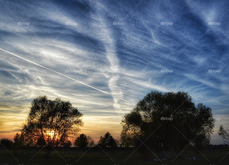 Sunset, Landscape, Dawn, Sky, Tree
