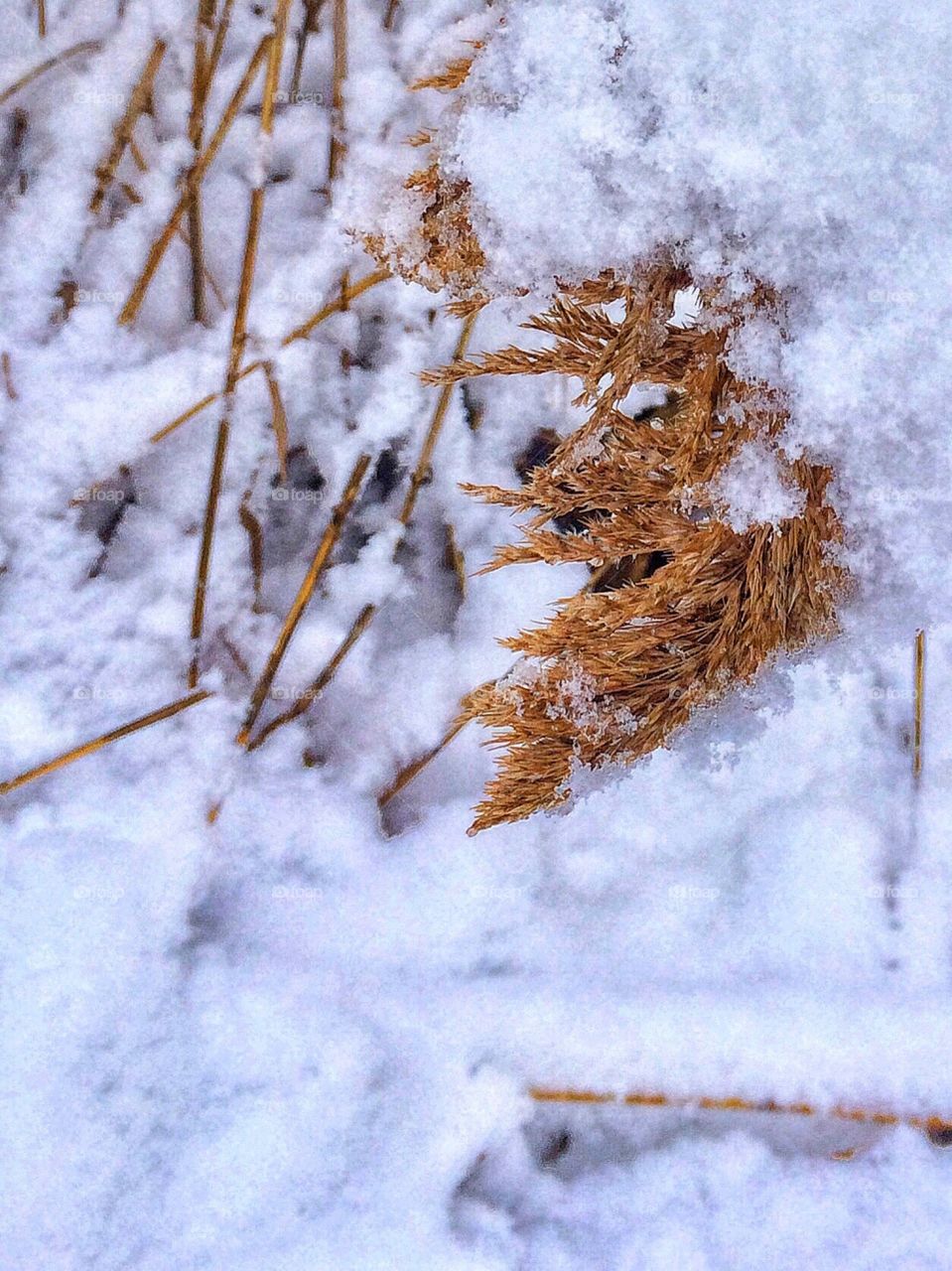 The first day of Spring... 