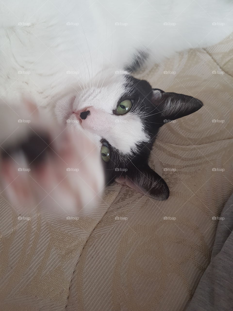 Charlie trying to figure out how to take a selfie!!