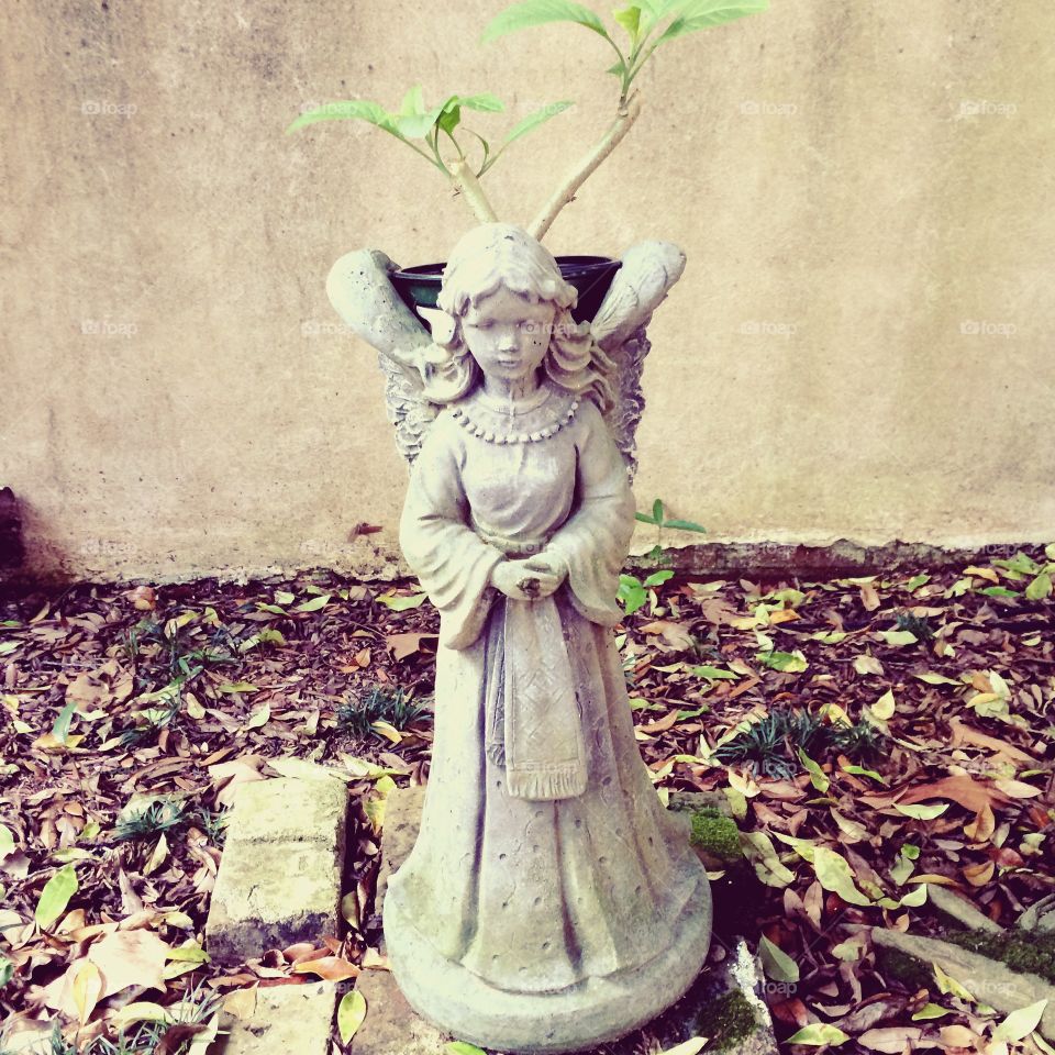 Angel in the garden