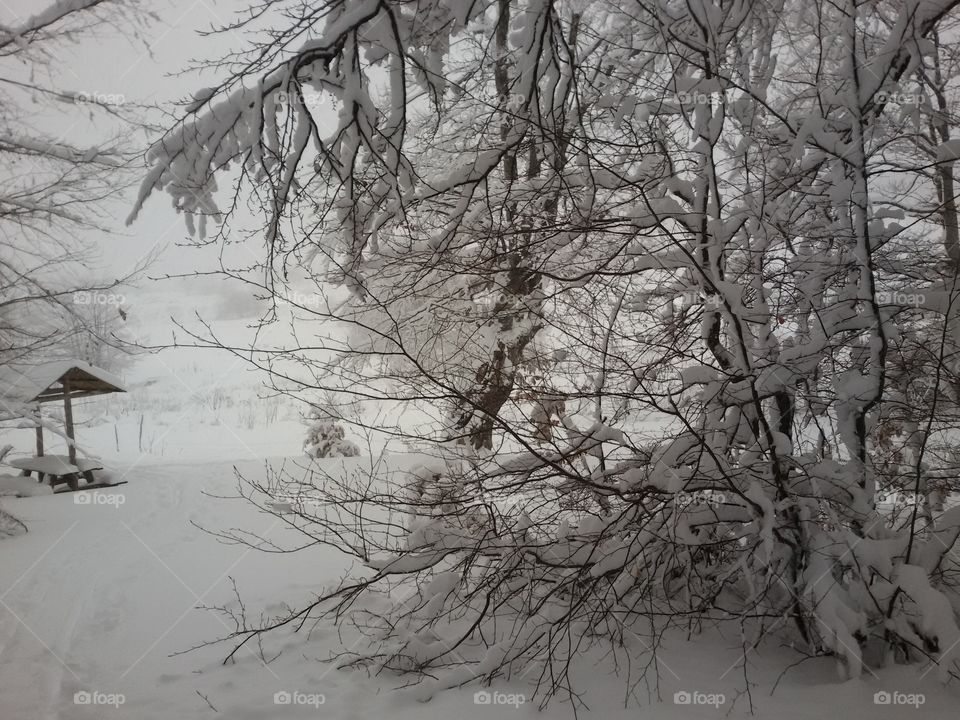 winter time mountain with snow