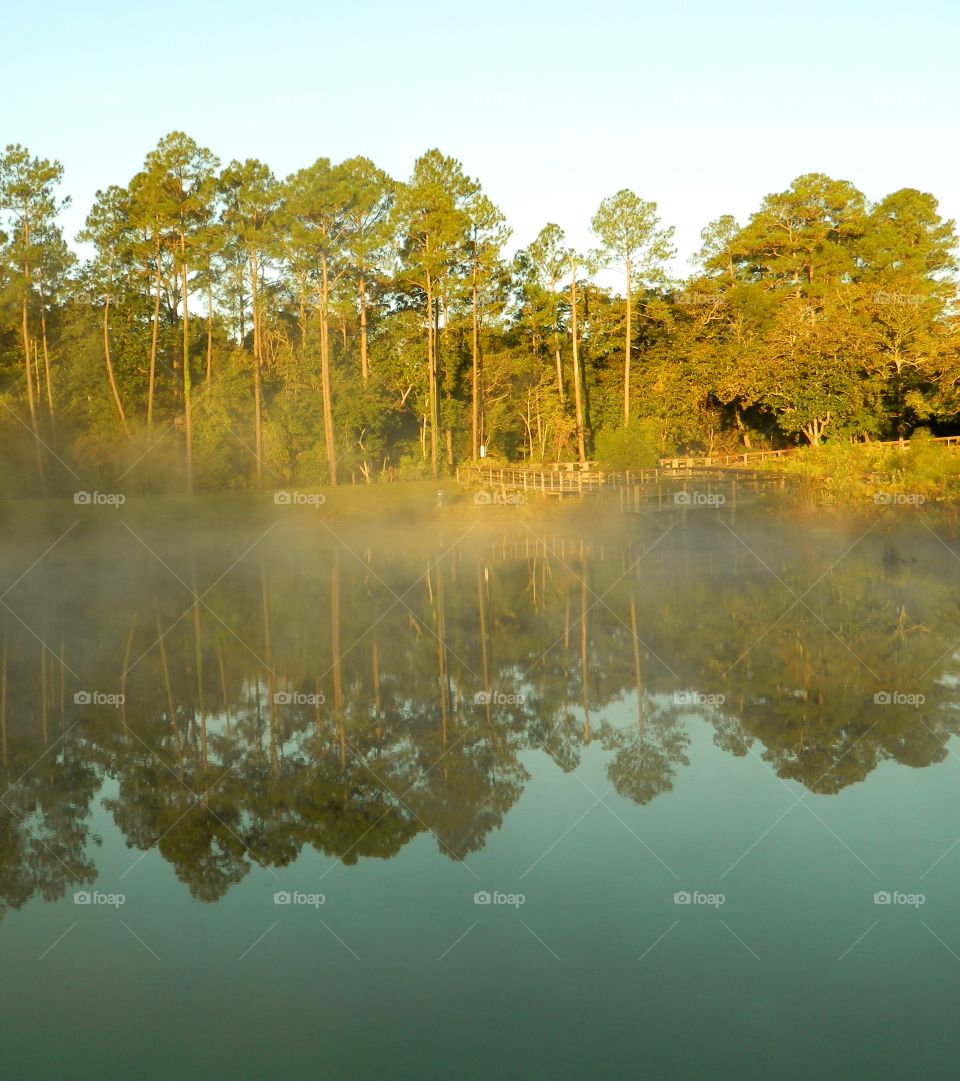 Incredible Autumn and Rainy day Reflections depict how beautiful and colorful the landscape really is in the fall. 