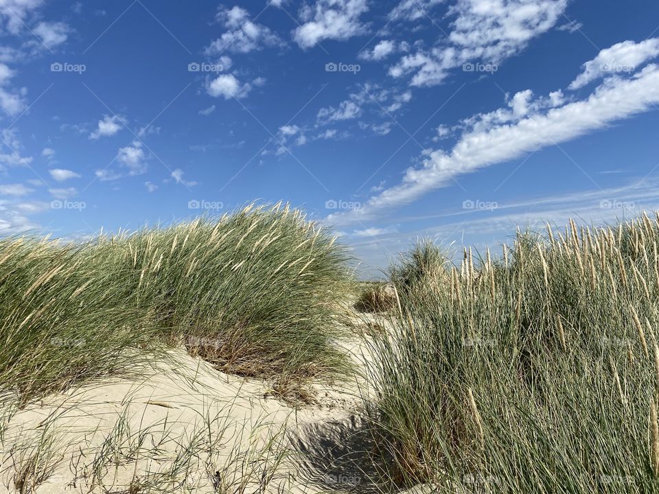Balm for the soul a beautiful summer day at the sea Rømø Denmark 2020 
