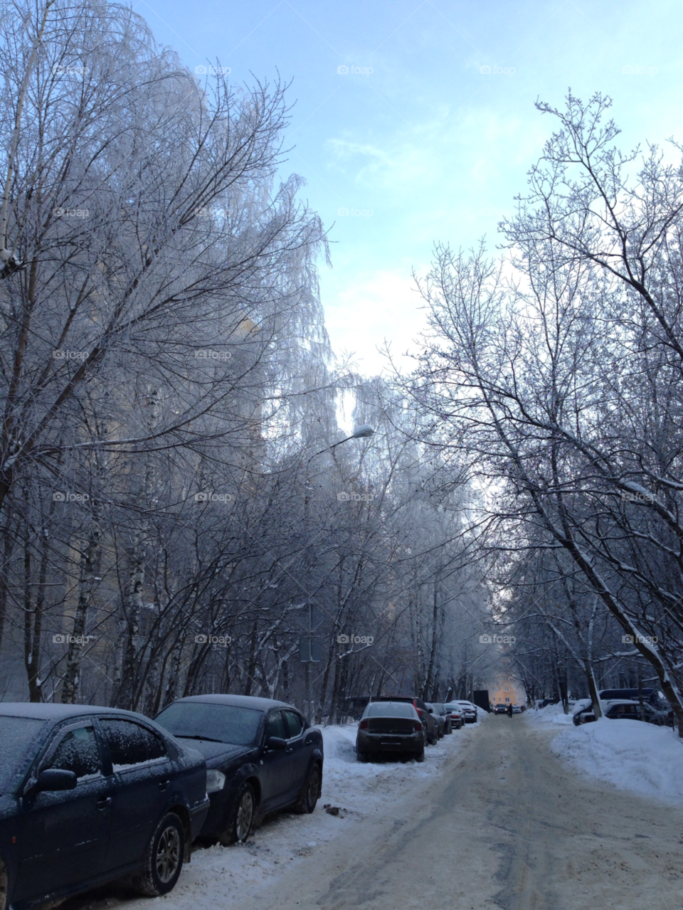 snow winter trees road by juulli_ya
