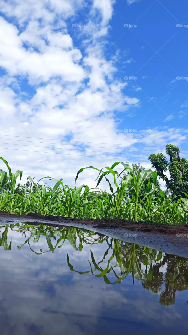 blue sky reflection. #fresh