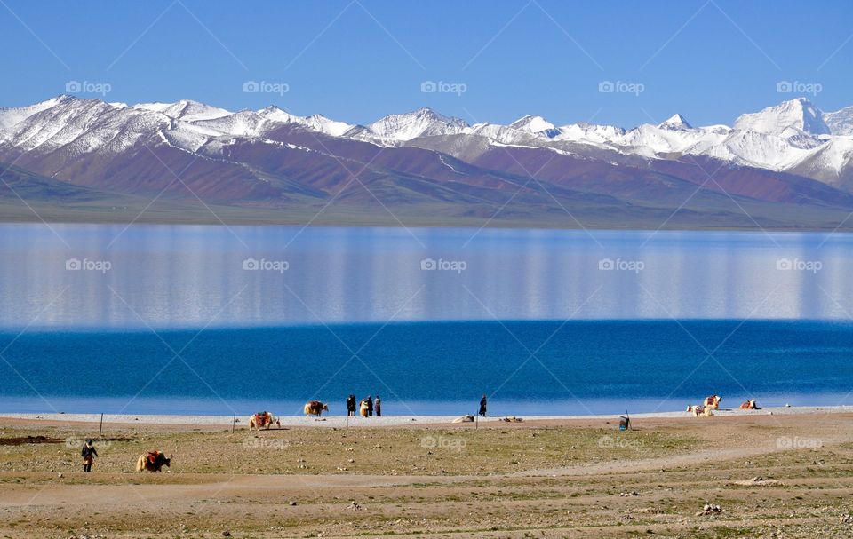 The Namtso lake in Tibet 