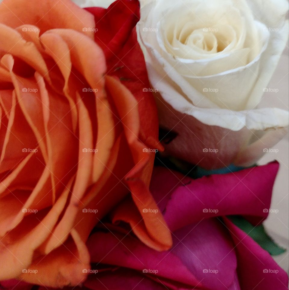 Unfiltered, beautiful, lovely and elegant bouquet of orange, white, and pink flowers