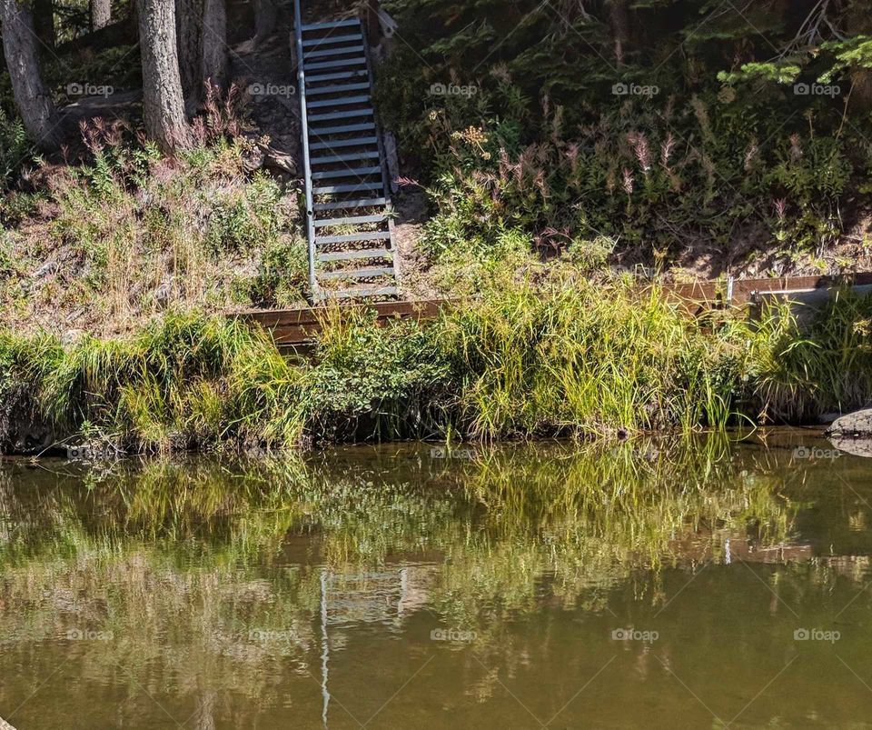 Stairs leading to a river dock