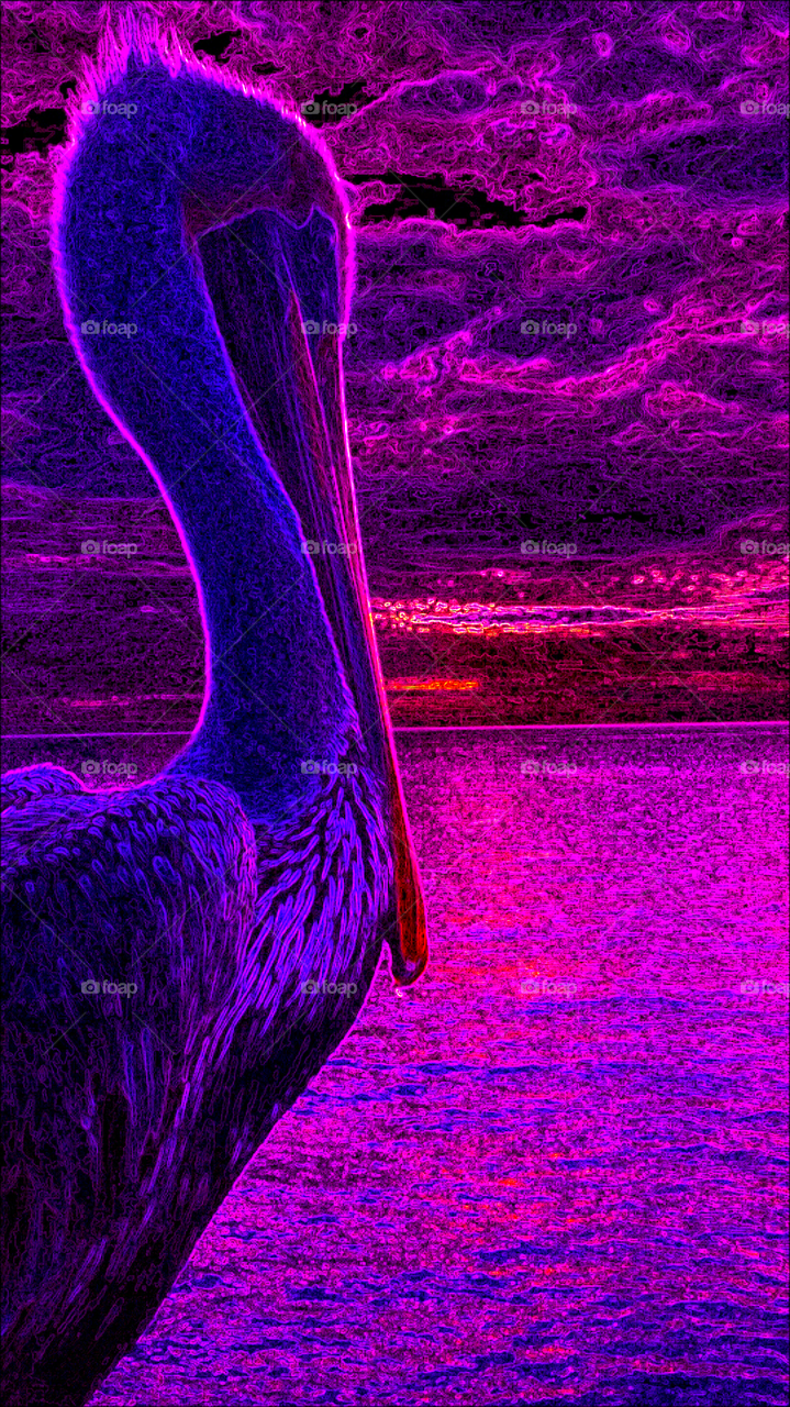 "Pink Neon Pelican At Sunrise"