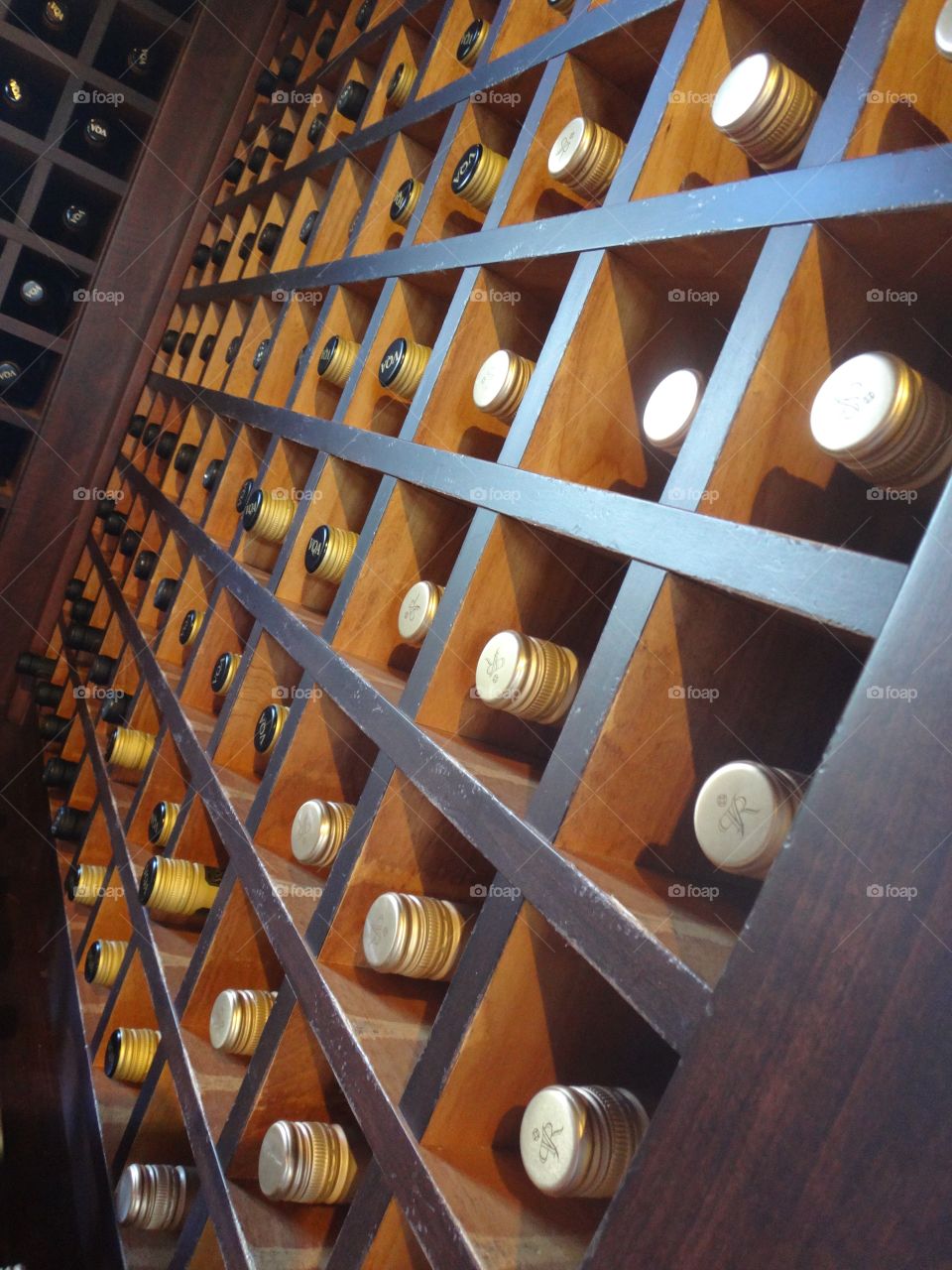 Wine cellar 