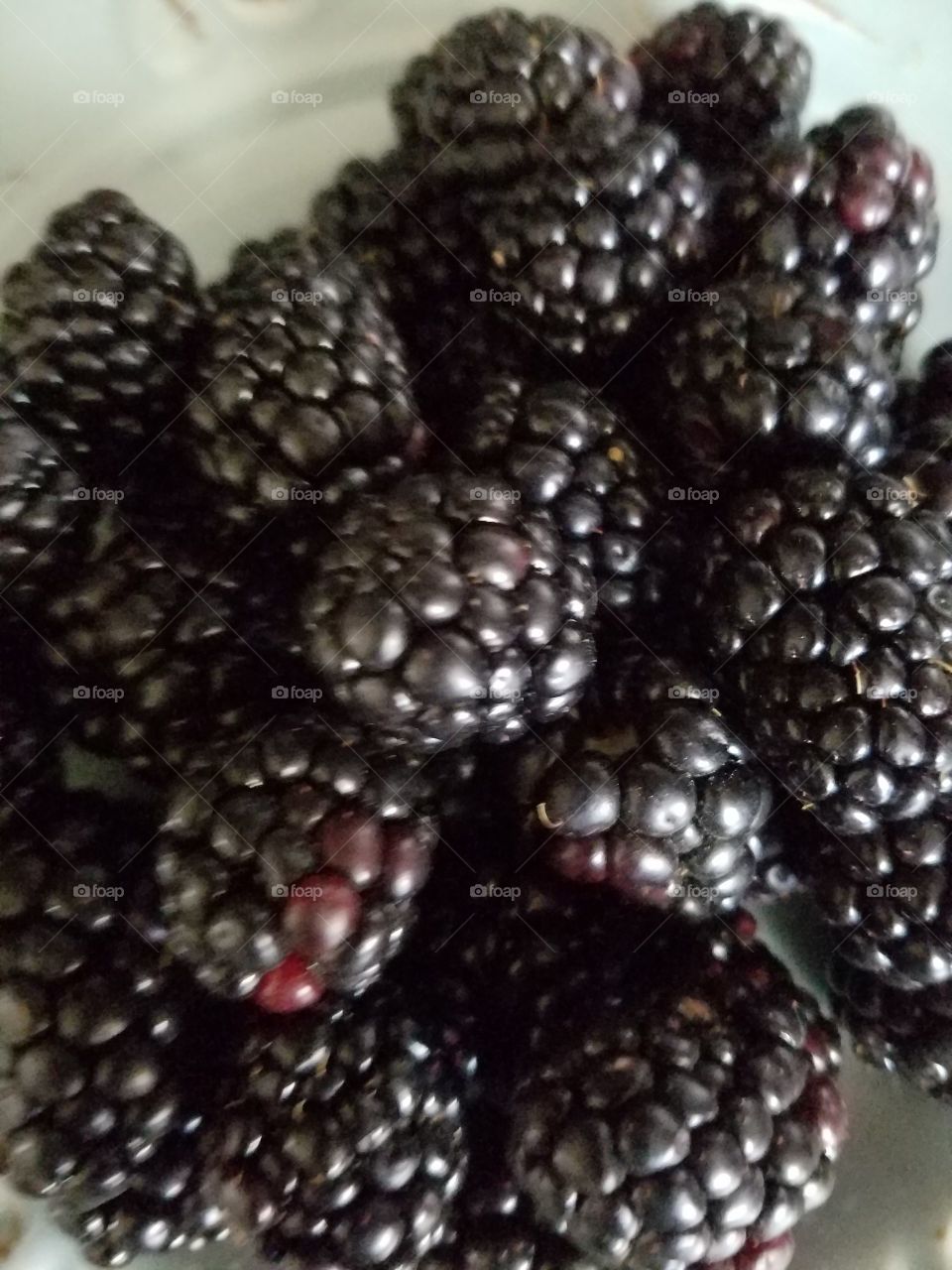 blackberries, fresh healthy close up