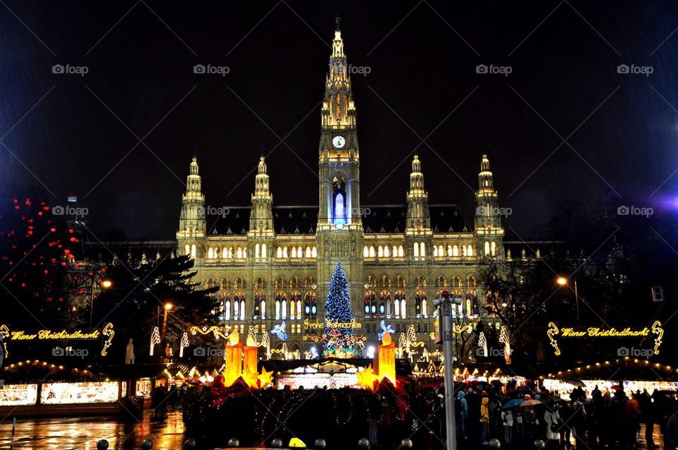 Town hall, vienna