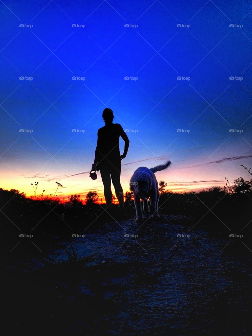 walking the dog at sunset silhouette