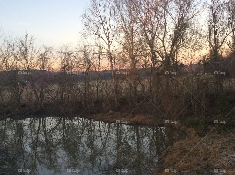 Reflections in a pond 