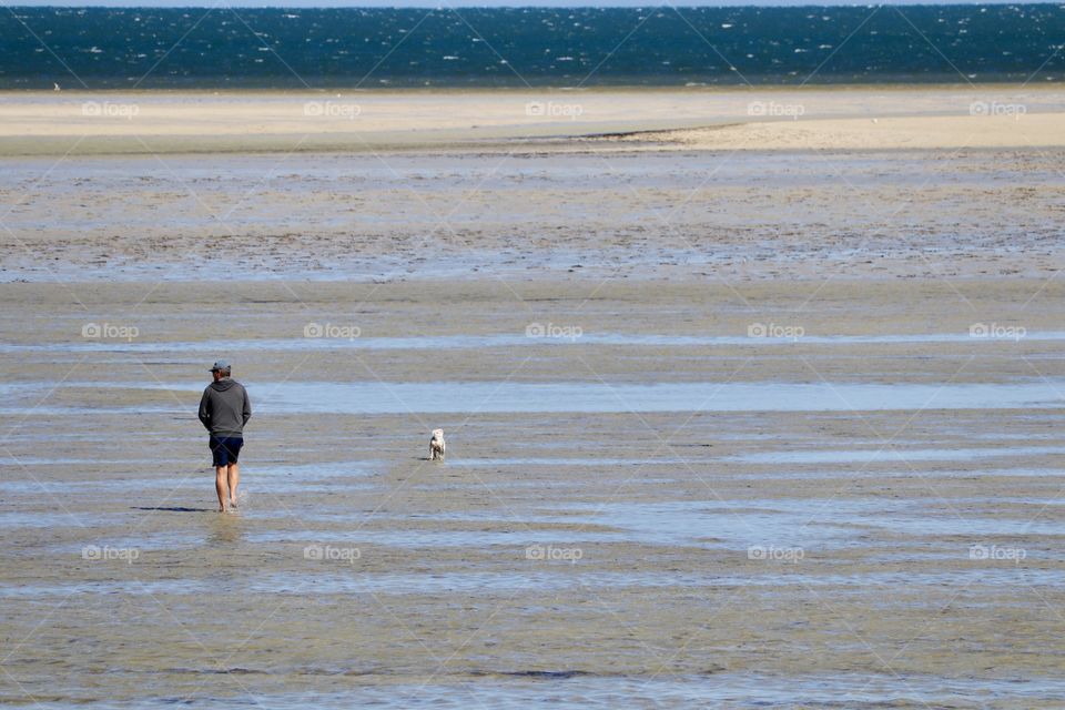 Man with off leash dog at low tide 