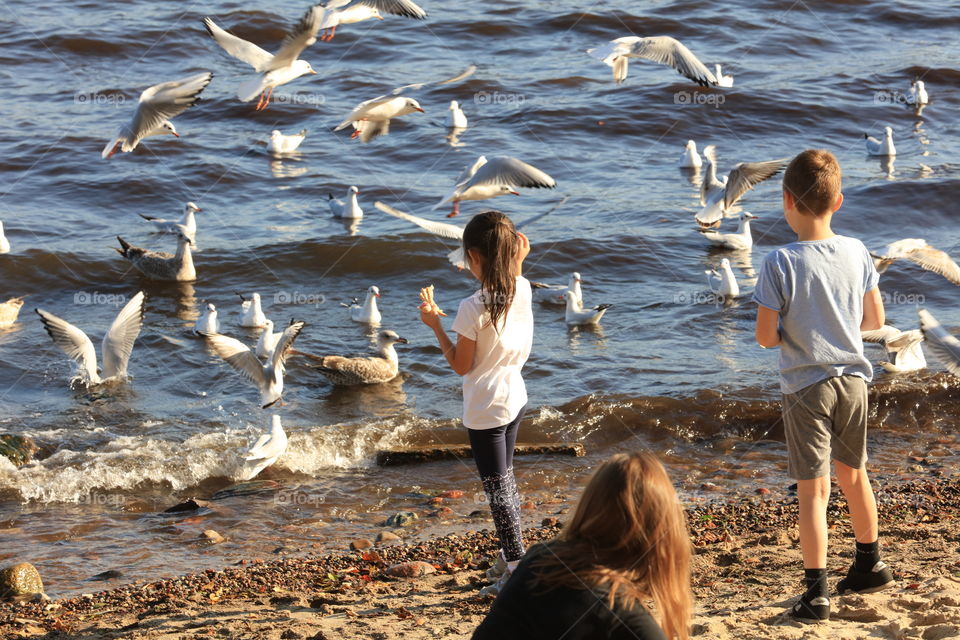 the girl feeds the birds