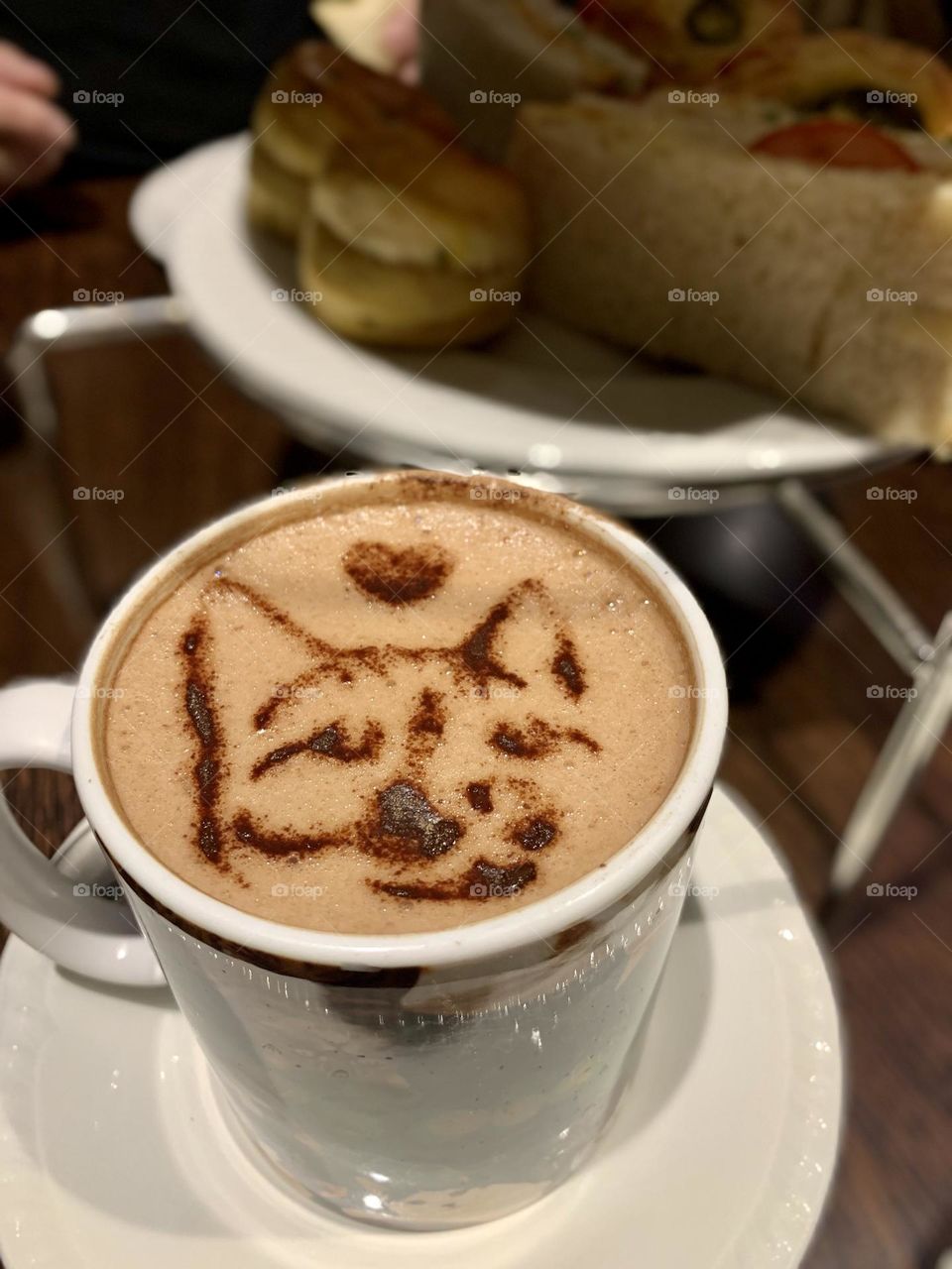 cat drawing in cappuccino 