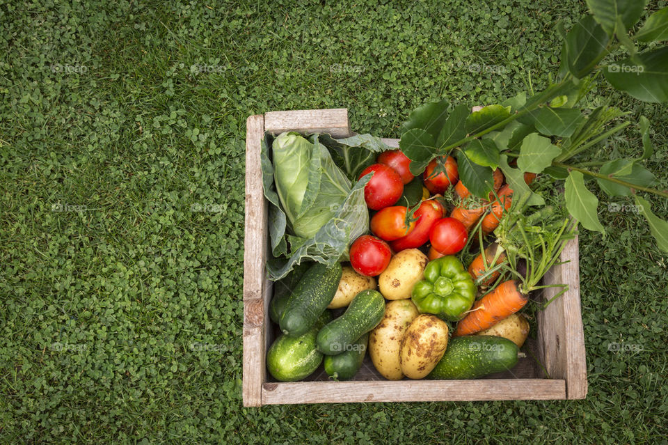 Box with organic vegetables