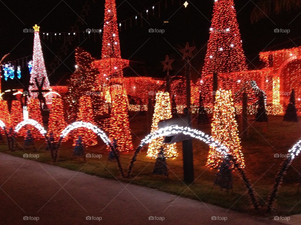 Christmas Light Display 
