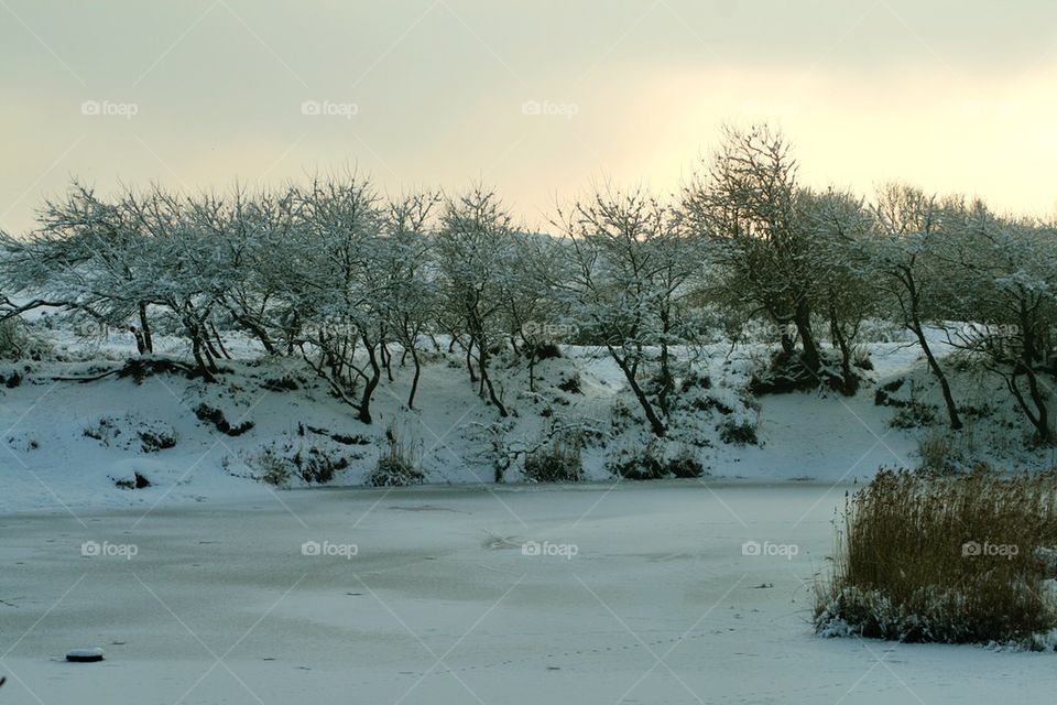 Frozen lake and winter landscape