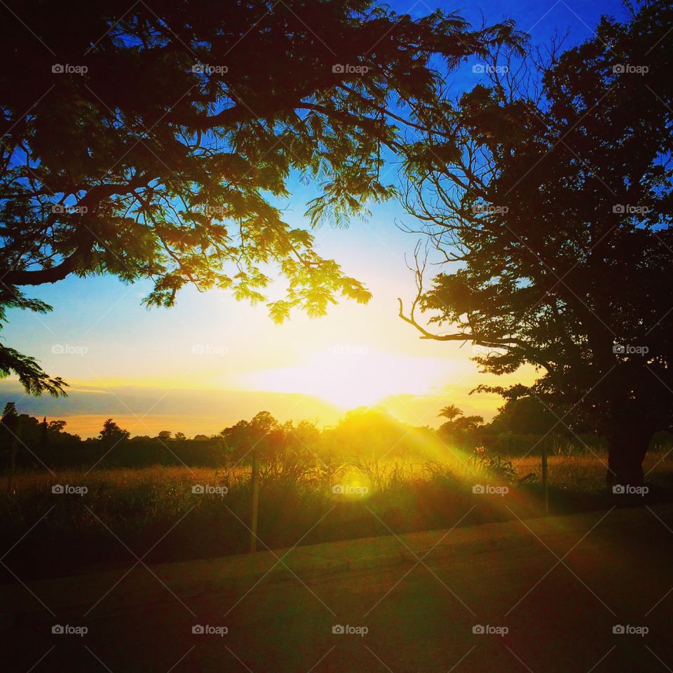 ☀️#Sol muito bonito de #natureza e #beleza indescritíveis.
Obrigado, #MãeTerra.
🌱
#inspiração #amanhecer #morning #fotografia #paisagem #sun #céu #landscapes