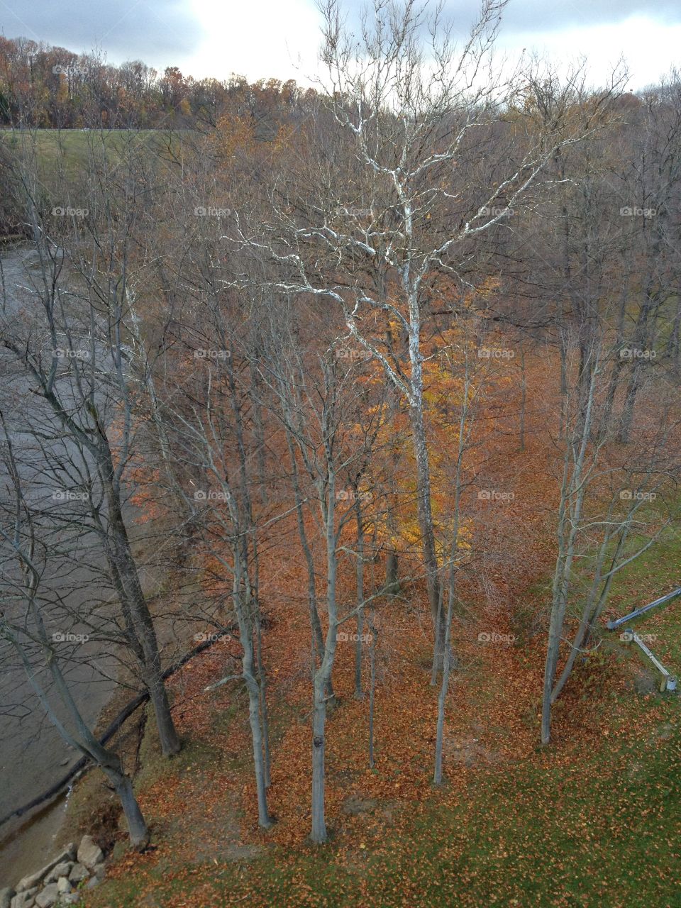 Fall colors in Ohio 