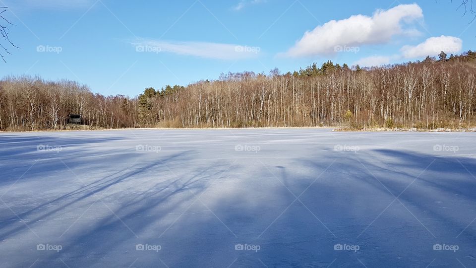 Frozen lake in the forest, fair weather - tjock is på sjön , solig fin dag 
